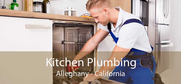 Kitchen Plumbing Alleghany - California