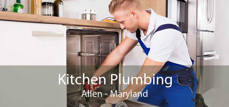 Kitchen Plumbing Allen - Maryland