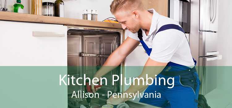 Kitchen Plumbing Allison - Pennsylvania