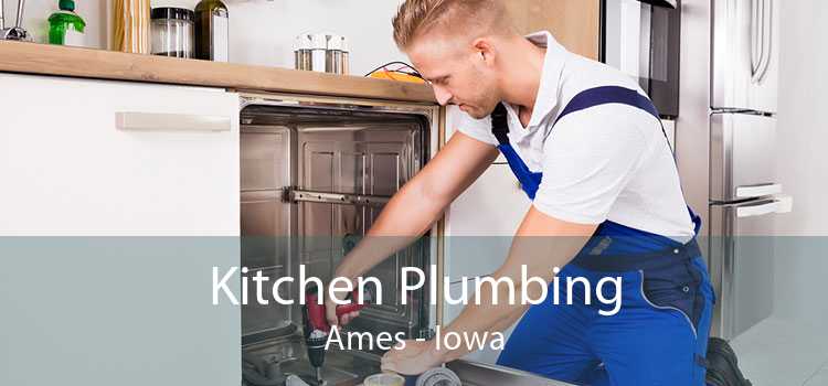 Kitchen Plumbing Ames - Iowa