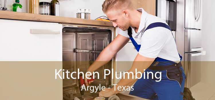 Kitchen Plumbing Argyle - Texas