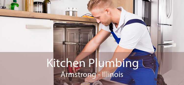 Kitchen Plumbing Armstrong - Illinois