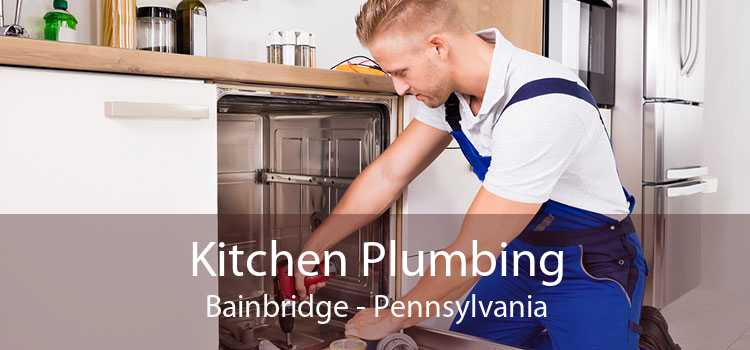 Kitchen Plumbing Bainbridge - Pennsylvania
