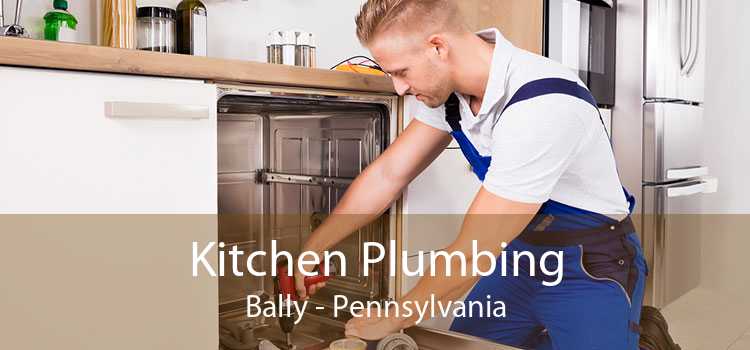 Kitchen Plumbing Bally - Pennsylvania