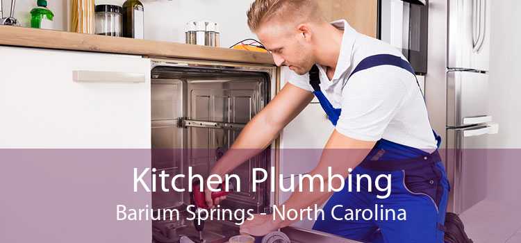 Kitchen Plumbing Barium Springs - North Carolina