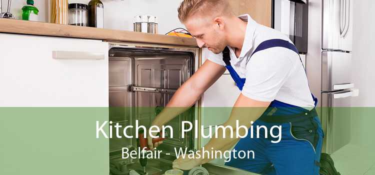 Kitchen Plumbing Belfair - Washington