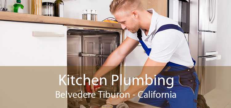 Kitchen Plumbing Belvedere Tiburon - California