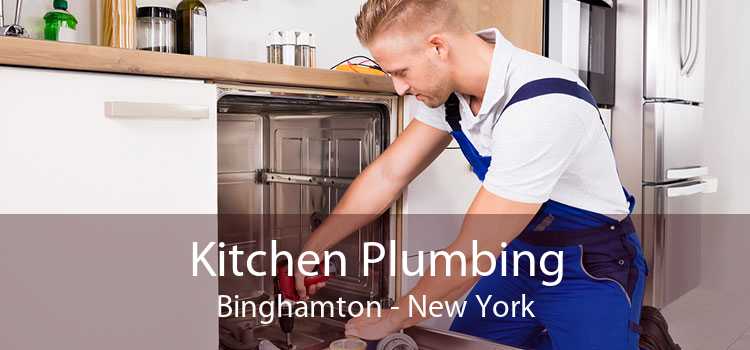 Kitchen Plumbing Binghamton - New York