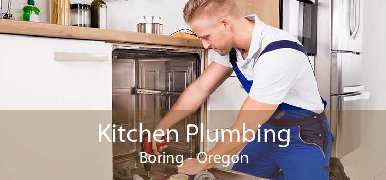 Kitchen Plumbing Boring - Oregon