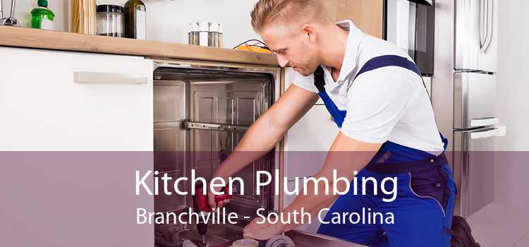 Kitchen Plumbing Branchville - South Carolina