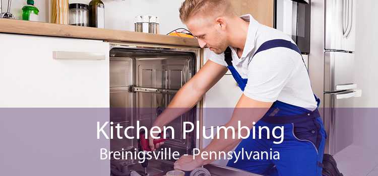 Kitchen Plumbing Breinigsville - Pennsylvania