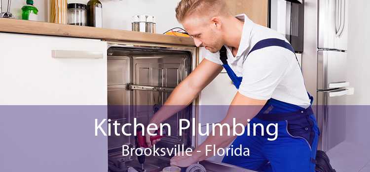Kitchen Plumbing Brooksville - Florida