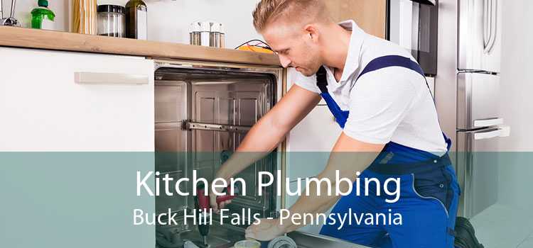 Kitchen Plumbing Buck Hill Falls - Pennsylvania
