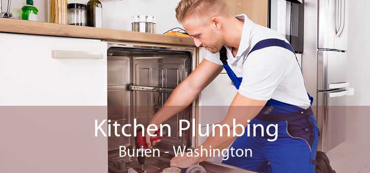 Kitchen Plumbing Burien - Washington