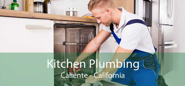 Kitchen Plumbing Caliente - California