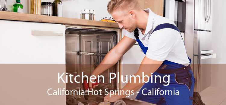 Kitchen Plumbing California Hot Springs - California