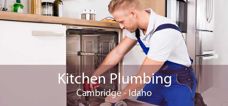 Kitchen Plumbing Cambridge - Idaho