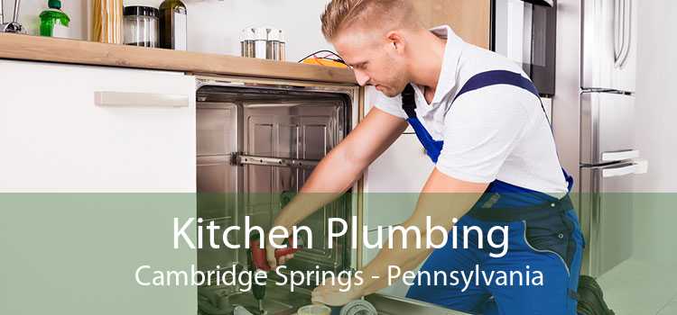Kitchen Plumbing Cambridge Springs - Pennsylvania