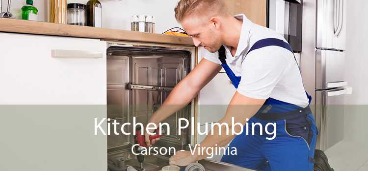 Kitchen Plumbing Carson - Virginia