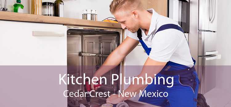 Kitchen Plumbing Cedar Crest - New Mexico