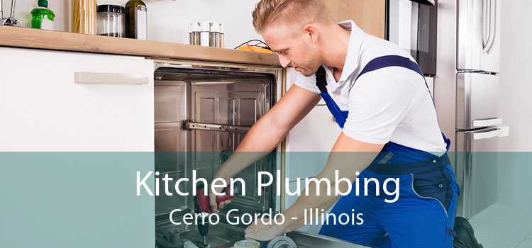 Kitchen Plumbing Cerro Gordo - Illinois