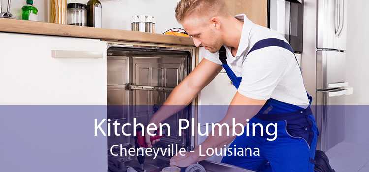 Kitchen Plumbing Cheneyville - Louisiana