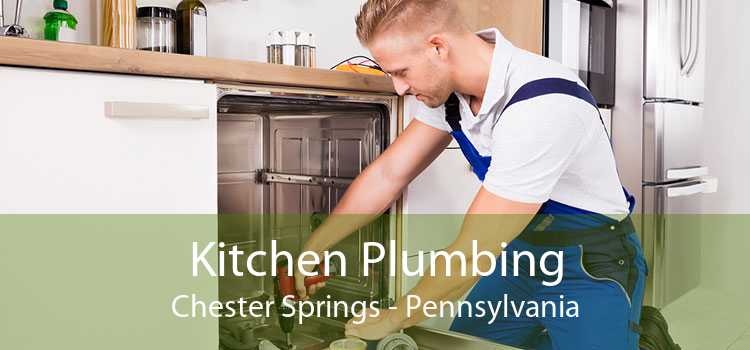 Kitchen Plumbing Chester Springs - Pennsylvania