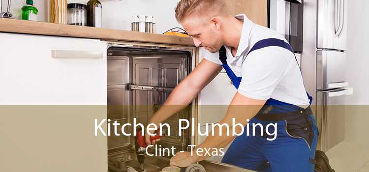 Kitchen Plumbing Clint - Texas