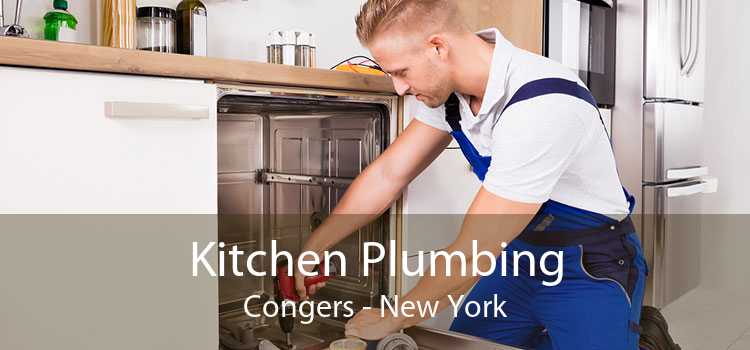Kitchen Plumbing Congers - New York