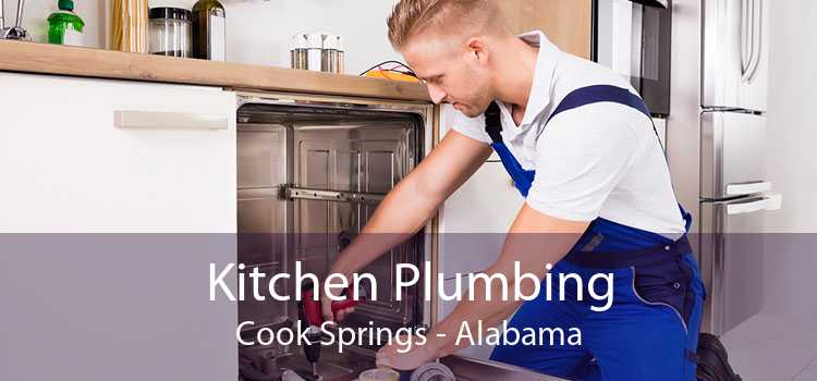 Kitchen Plumbing Cook Springs - Alabama
