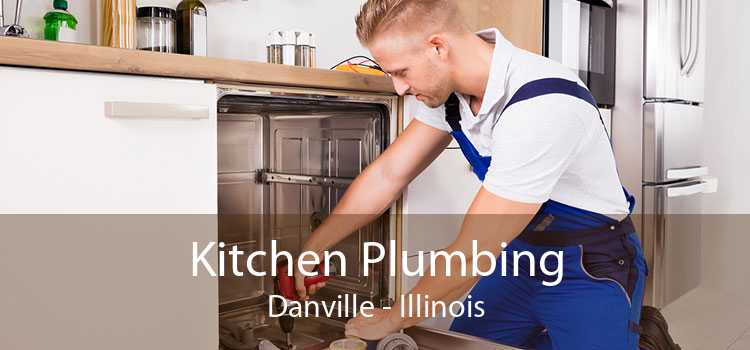 Kitchen Plumbing Danville - Illinois