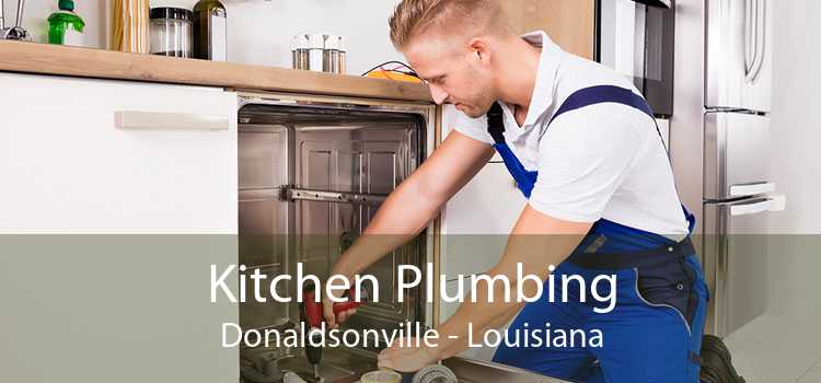 Kitchen Plumbing Donaldsonville - Louisiana