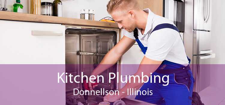 Kitchen Plumbing Donnellson - Illinois