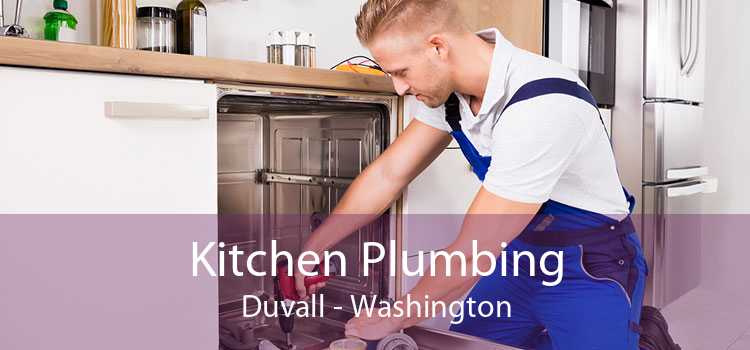 Kitchen Plumbing Duvall - Washington