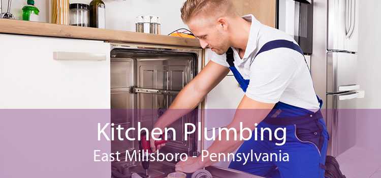 Kitchen Plumbing East Millsboro - Pennsylvania