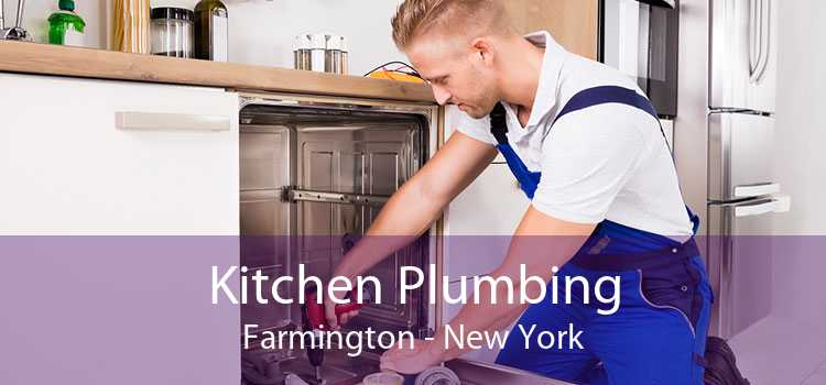 Kitchen Plumbing Farmington - New York