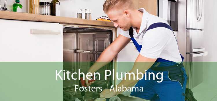 Kitchen Plumbing Fosters - Alabama