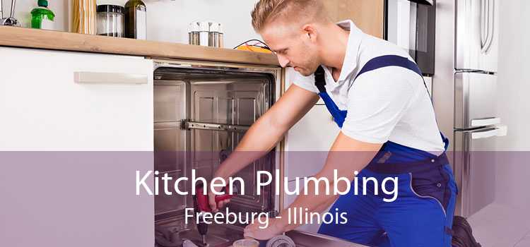 Kitchen Plumbing Freeburg - Illinois