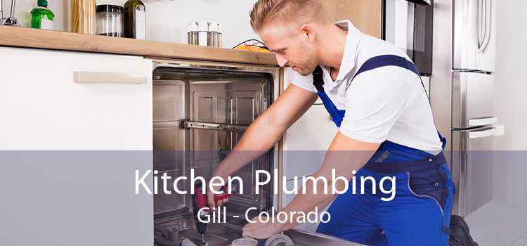 Kitchen Plumbing Gill - Colorado