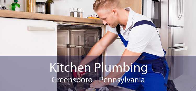Kitchen Plumbing Greensboro - Pennsylvania