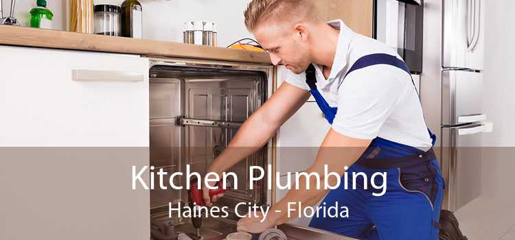 Kitchen Plumbing Haines City - Florida