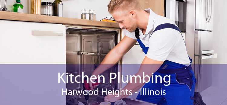 Kitchen Plumbing Harwood Heights - Illinois