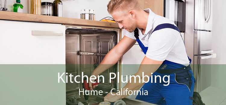 Kitchen Plumbing Hume - California