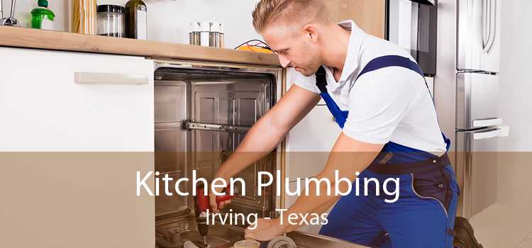 Kitchen Plumbing Irving - Texas