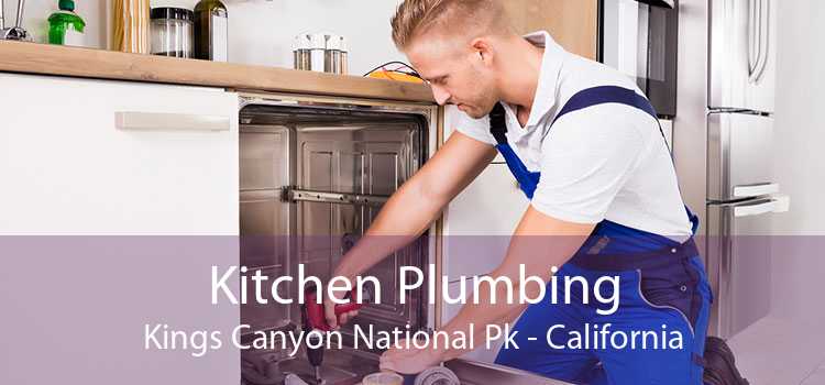 Kitchen Plumbing Kings Canyon National Pk - California
