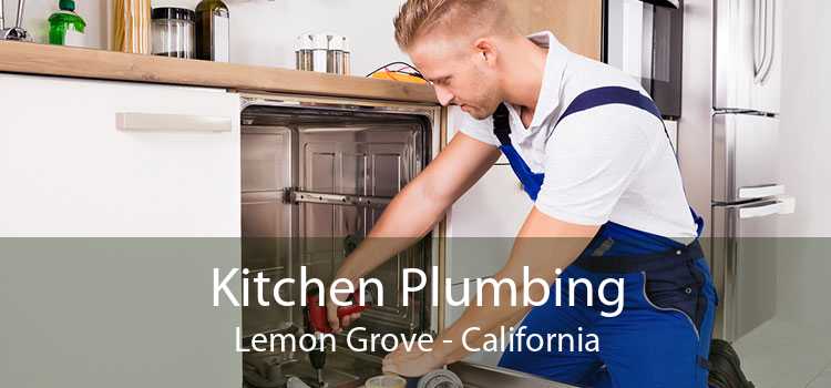 Kitchen Plumbing Lemon Grove - California