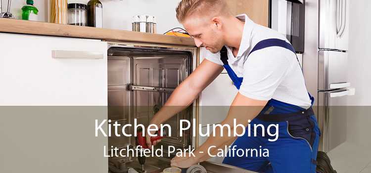 Kitchen Plumbing Litchfield Park - California