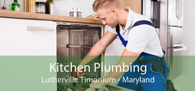 Kitchen Plumbing Lutherville Timonium - Maryland