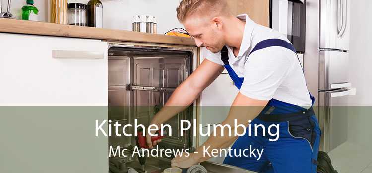 Kitchen Plumbing Mc Andrews - Kentucky