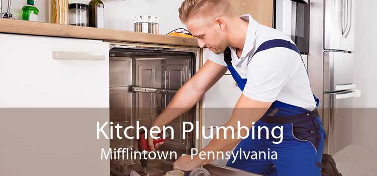 Kitchen Plumbing Mifflintown - Pennsylvania